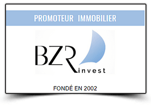 bzr