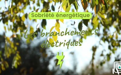 SOBRIETE ENERGETIQUE : LES BRANCHEMENTS ELECTRIQUES