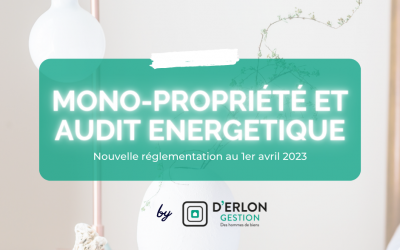Nouvelle réglementation au 1er avril 2023 : Mono-propriété et Audit énergétique