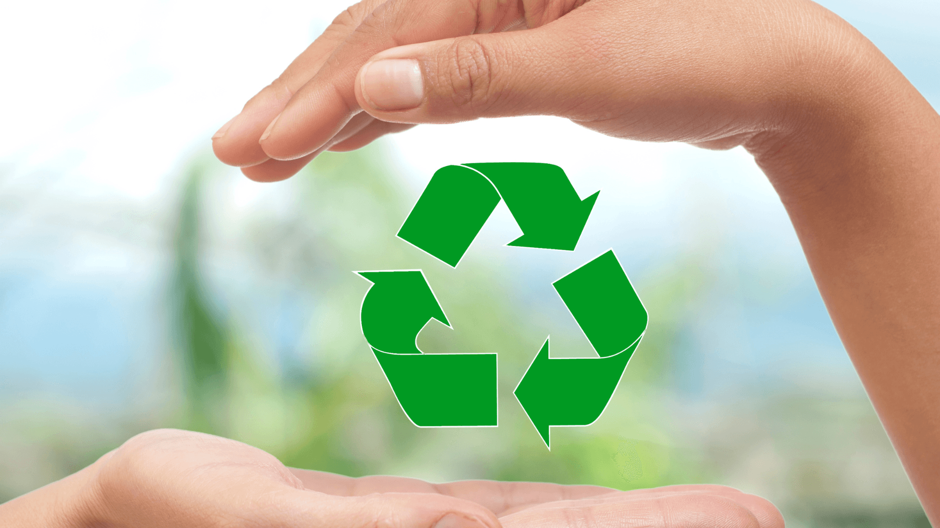 Comment gérer vos déchets au quotidien ? ♻