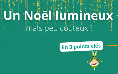 Un Noël lumineux mais peu coûteux !