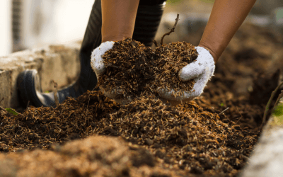 Le compost en ville, c’est facile !