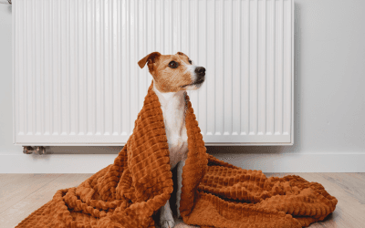 Grand froid : Les gestes simples pour réduire sa facture