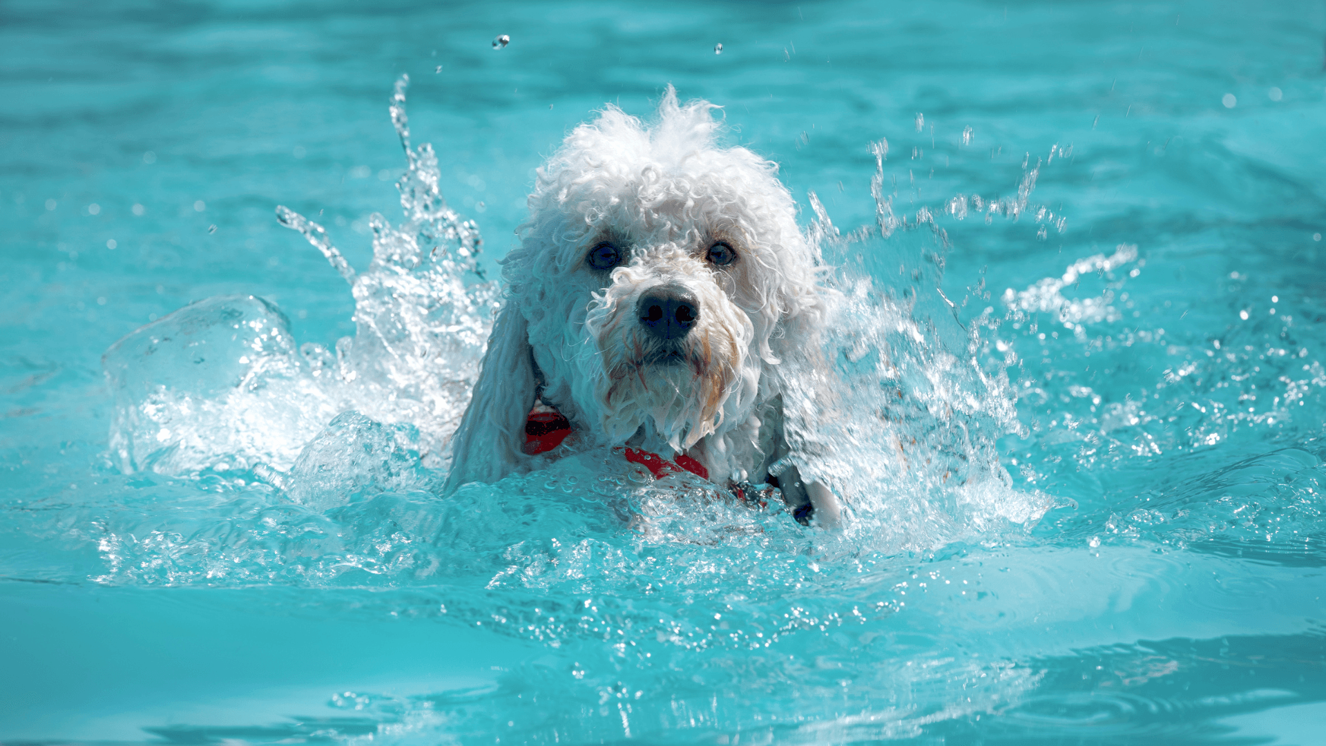 L'été approche... Il serait bon de savoir comment rafraîchir votre intérieur !